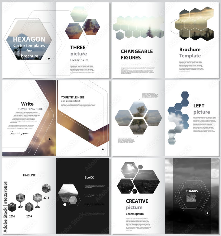 Canvas Prints the minimalistic vector illustration of the editable layout of a4 format modern covers design templa
