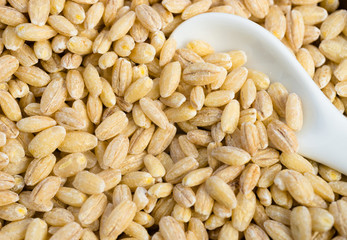 Pearl Barley Pearled Whole Grain Food