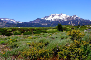 Fototapeta premium Sierra Mountains