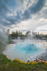 Volcanic Hot Spring on Fountain Paint Pot Nature Trail with Hot Blue Water and Wildflowers  During Sunset in Yellowstone National Park