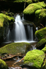 Moss covered rocks and the Sol Duc Falls, Olympic National Park, Washington