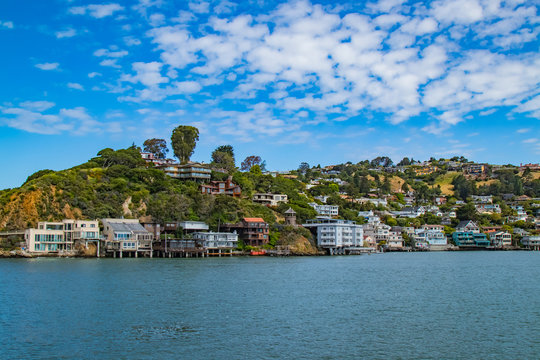 Hillside of Belvedere, California from Angel Island