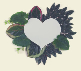 fresh green leaves frame, copy space on white heart, retro toned