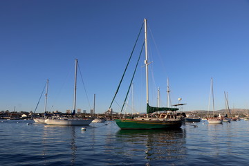 Fototapeta premium Sailing in Newport Beach
