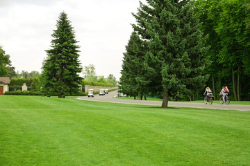 Obraz premium Modern golf carts driving along the road near green course
