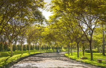 Fototapeta na wymiar Dong Nai, Vietnam - June 25th, 2017: Happy couple walking together towards the end of road in eco tourism with two rows of green trees adorn the romantic scenery for honeymoon in Dong Nai, Vietnam