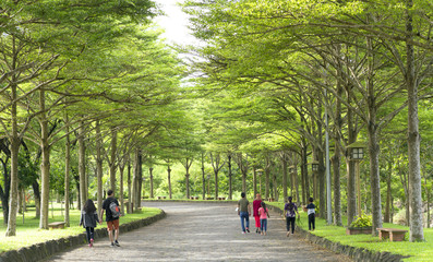 Dong Nai, Vietnam - June 25th, 2017: Visitors walk on twisty roads with green trees shine in the golden sunshine of the summer in the ecotourism weekends in Dong Nai, Vietnam