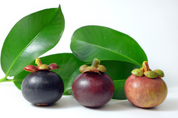 Mangosteen on white background.