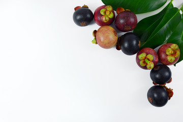Mangosteens for background.