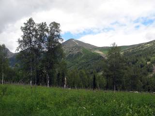 Fototapeta na wymiar Landscape with meadow, trees and mountain slopes