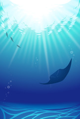 海底から見る太陽の光 © AQ-taro Images