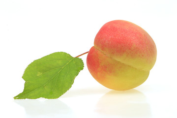 Fresh apricots are isolated in the white background