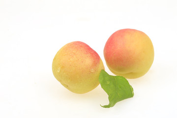 Fresh apricots are isolated in the white background