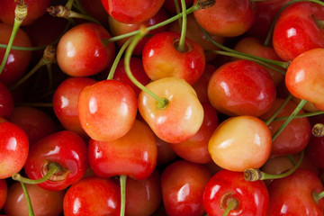 Red fresh ripe cherry