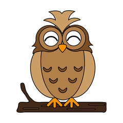 owl vector illustration
