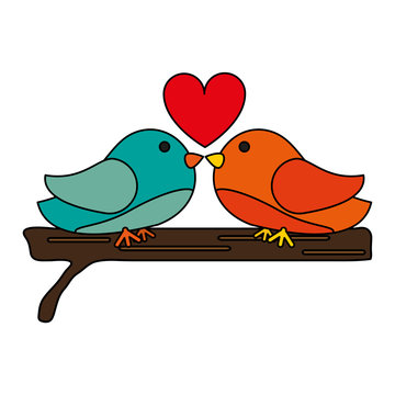 lovebirds vector illustration