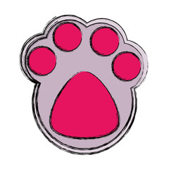 Cat footprint isolated