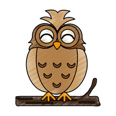 Cute owl vector illustration
