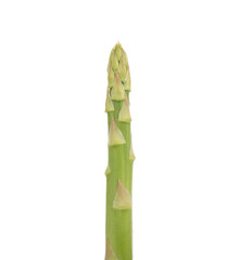 Asparagus on a white background