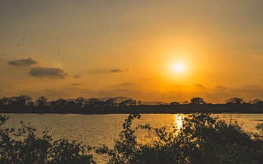 Naklejka premium Beautiful Sunset