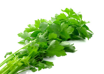 Celery isolated on white background