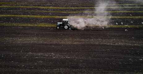 The white tractor plows the field against the backdrop of the black earth, and behind it birds fly and collect food. Aeril view. Agricultural machinery works in the field of spring planting. Plowing