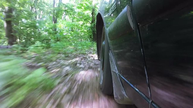 
Car goes on  green summer wood. POV clip
