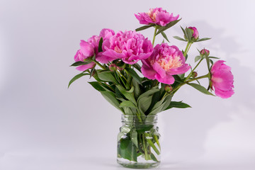 Fresh bouquet of peonies in a glass jar on a white background