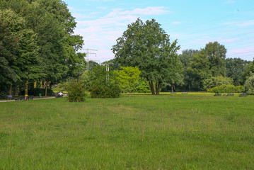 Fototapeta na wymiar City park in summer.Green park.