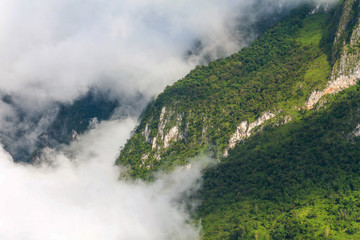 green mountain and morning mist background