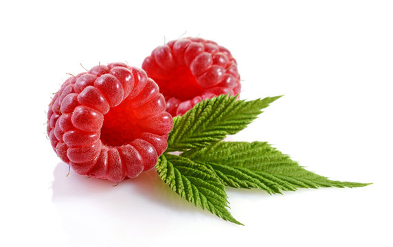 Healthy food. Close up view fresh ripe raspberry with leaves