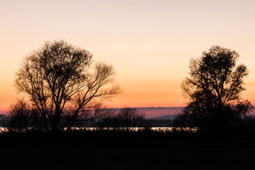 Some trees silhouette near a lake at dusk, with beautiful purple and orange colors