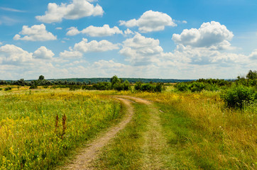Rural road through the green meadow