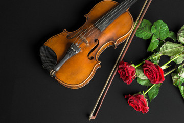 Fototapeta na wymiar Violin and rose on black background.