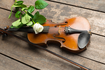 Beautiful violin
