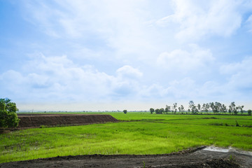 landscape of bright green farm with sunlight in blue sky