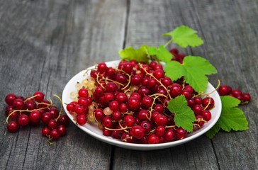 Plate with red currant