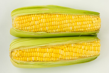 Sweet corn isolated on the white