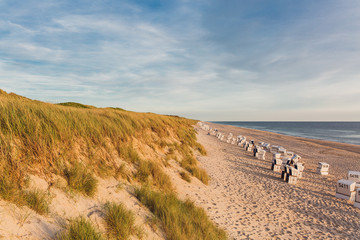 Mehrere Standkörbe am Strand auf Sylt