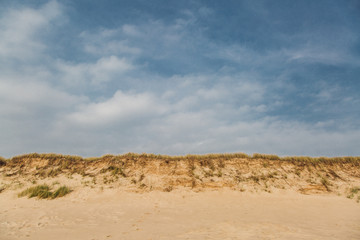 Fototapeta na wymiar Düne am Strand von Sylt