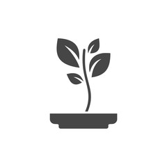 Young plant icon