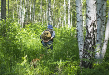 Hiker walking with dogs in mountain forest