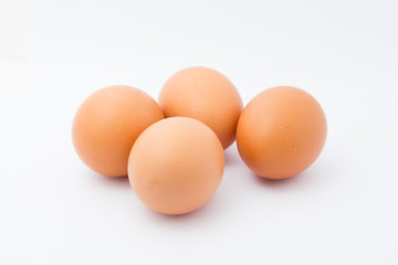 eggs