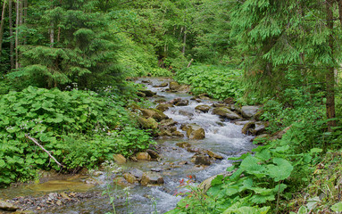 Obraz premium A stream in the mountains flows along the rocks and a stormy waterfall