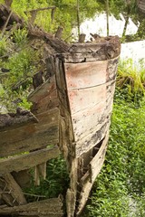 Fototapeta premium Cimitero dei Burci / barconi a Casier di Treviso , Veneto Italia sul Parco Regionale del fiume Sile