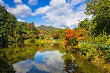 Autumn at the lake in Arashiyama, Japan