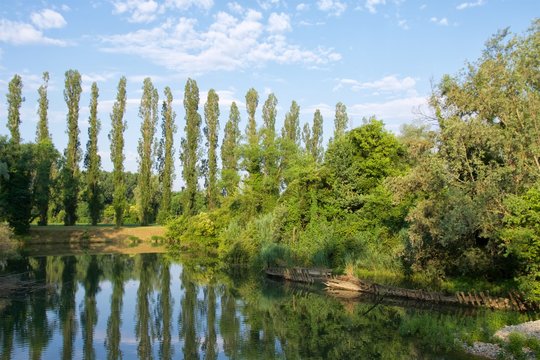 Cimitero dei Burci / barconi a Casier di Treviso , Veneto Italia sul Parco Regionale del fiume Sile