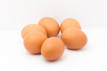 eggs