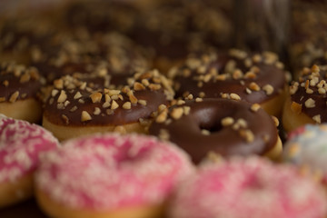 Tiny Donuts
