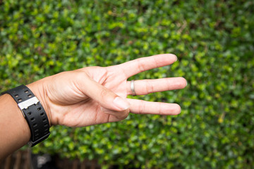 hand symbol  in the garden